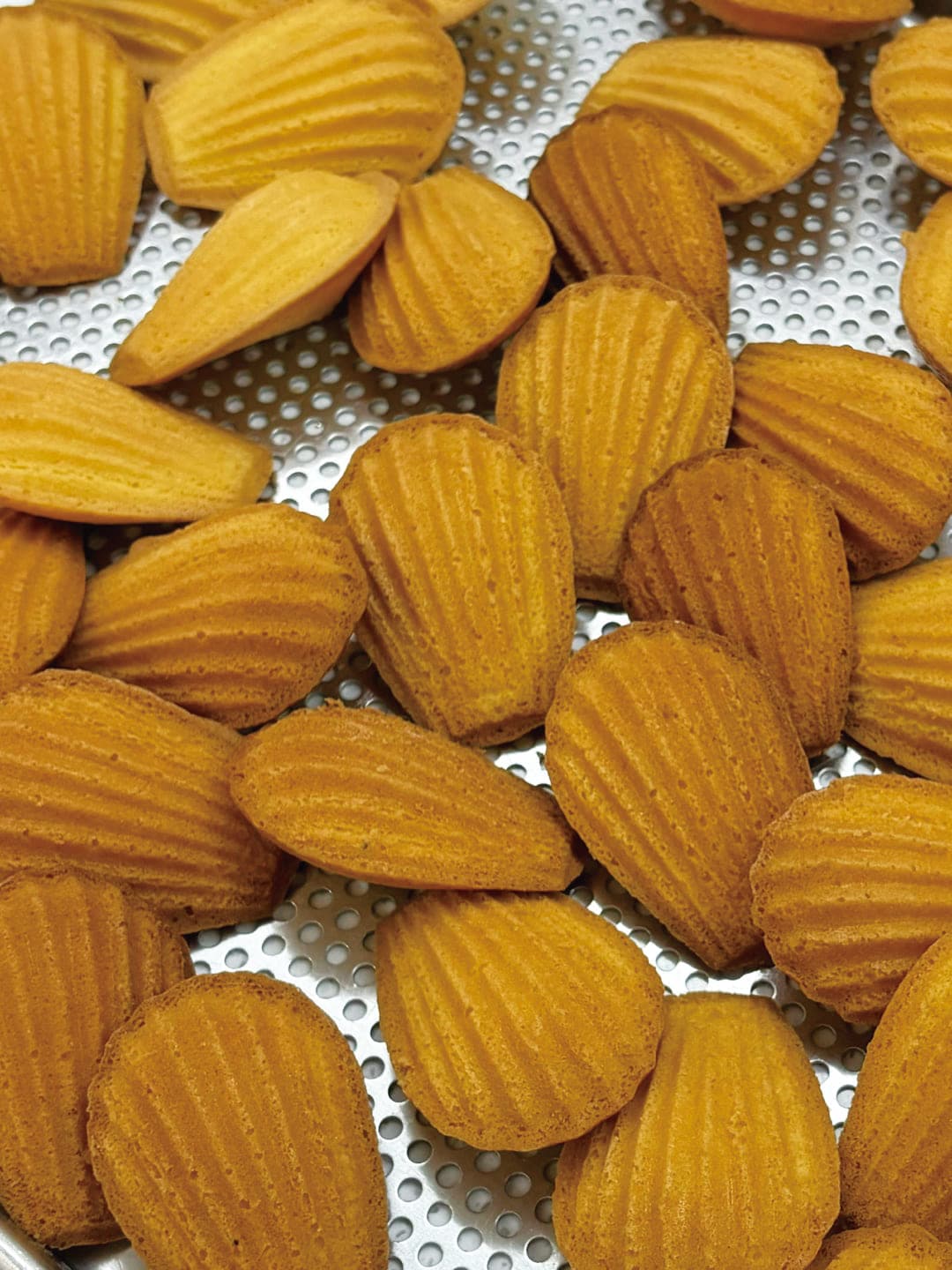 과정 상세 이미지