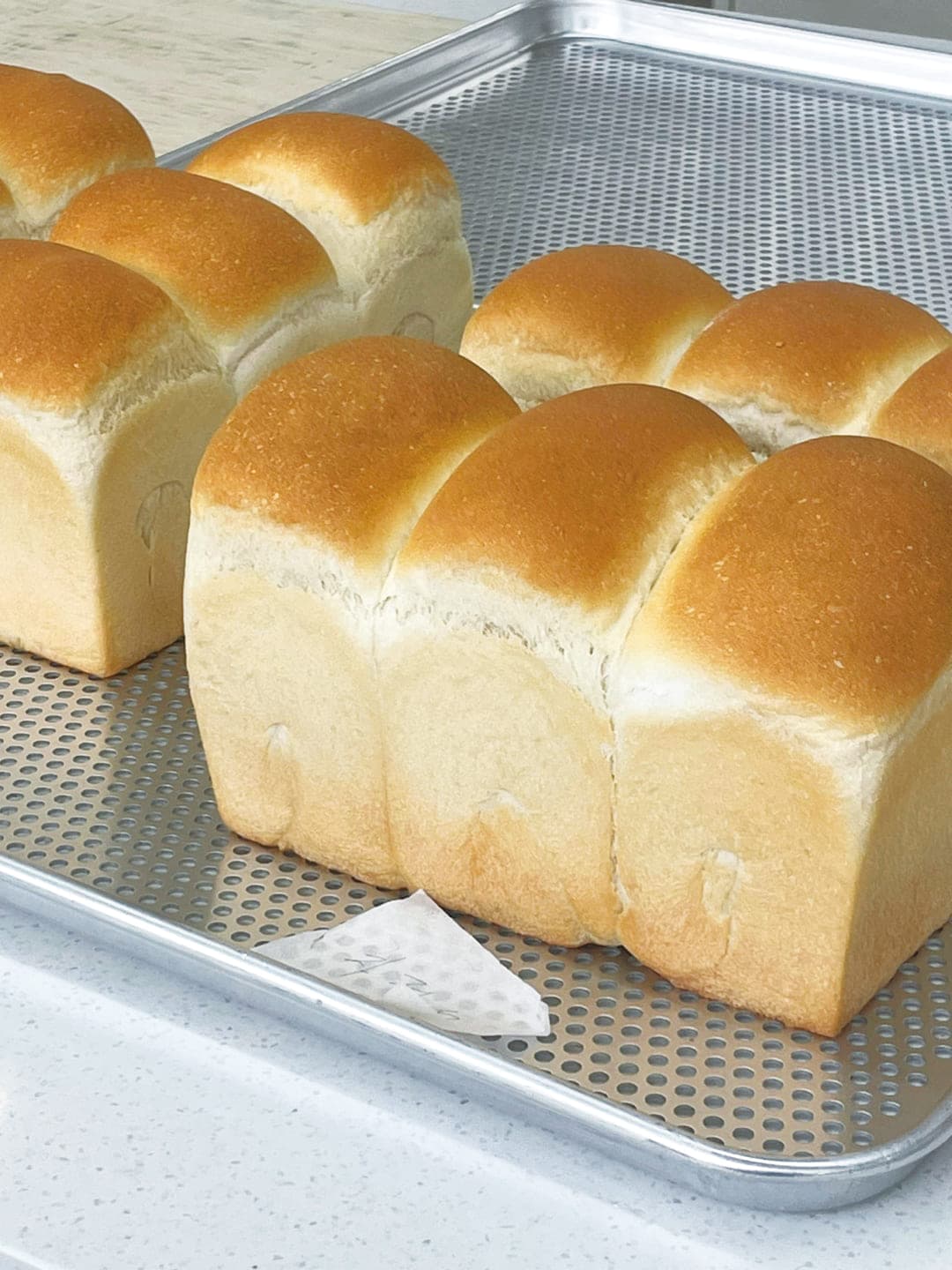 과정 상세 이미지 1