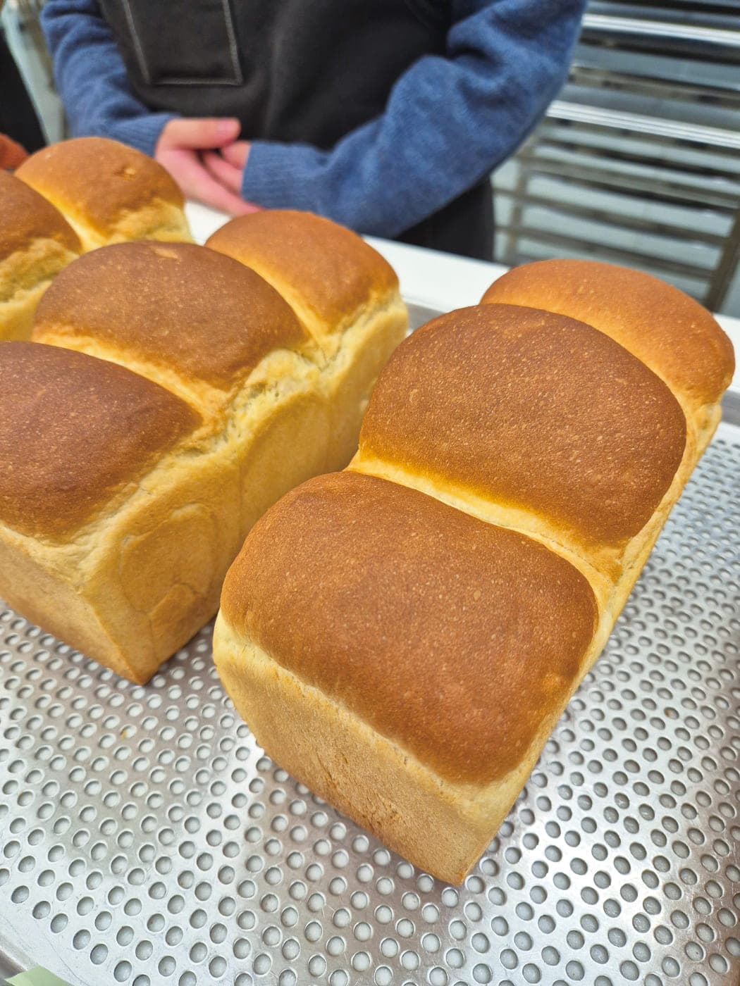 과정 상세 이미지 1