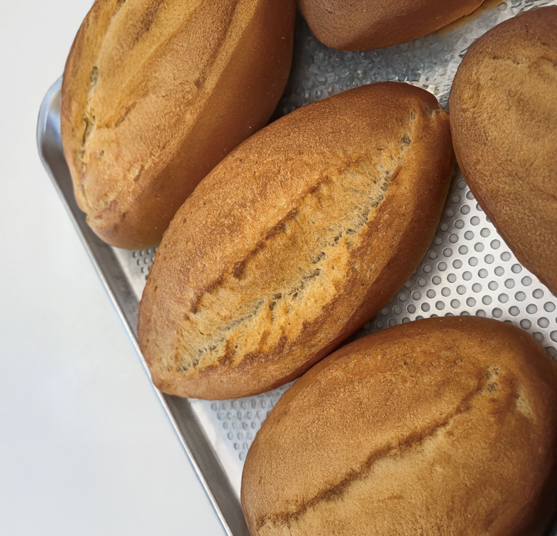 과정 상세 이미지 2