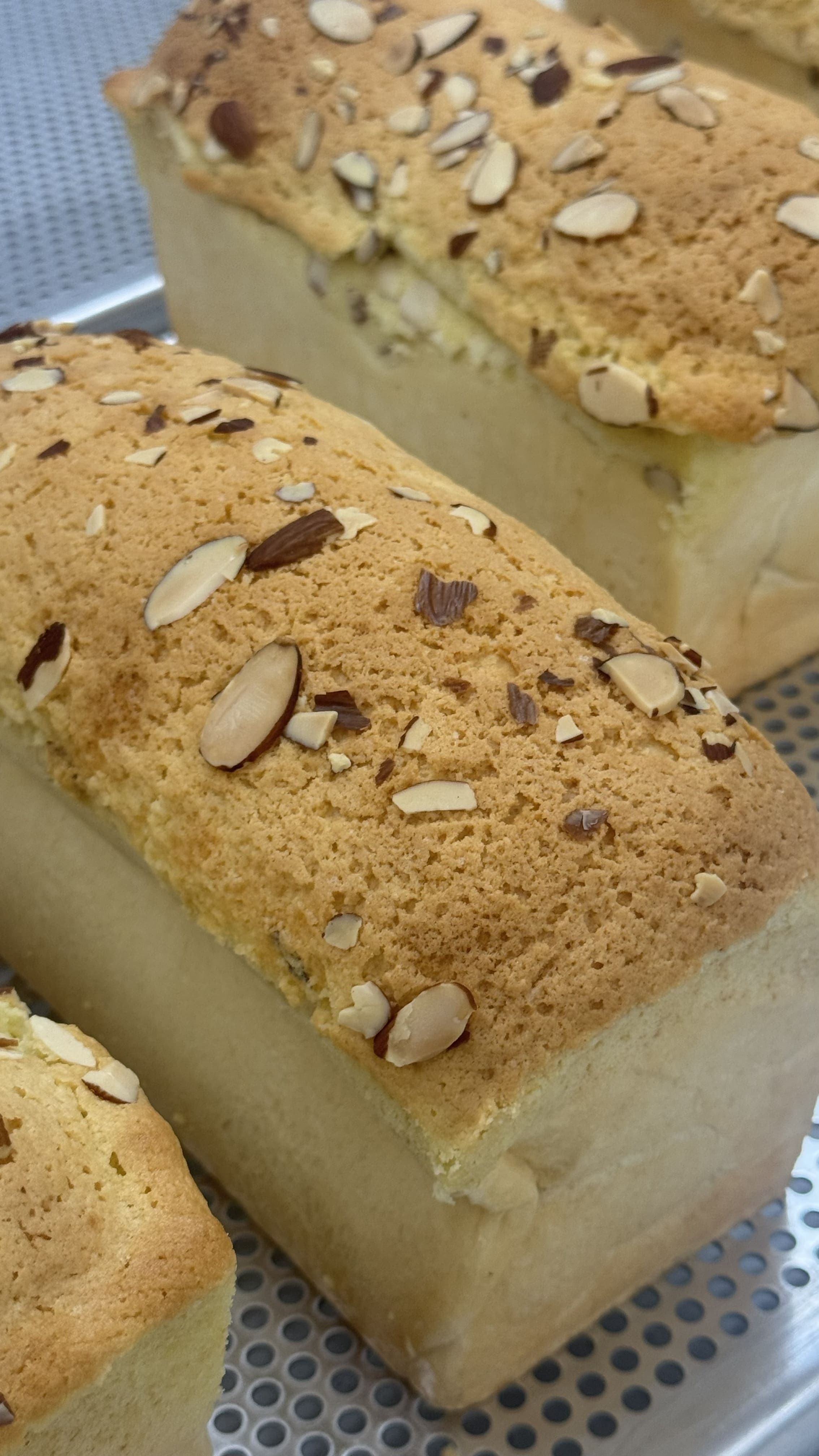 과정 상세 이미지