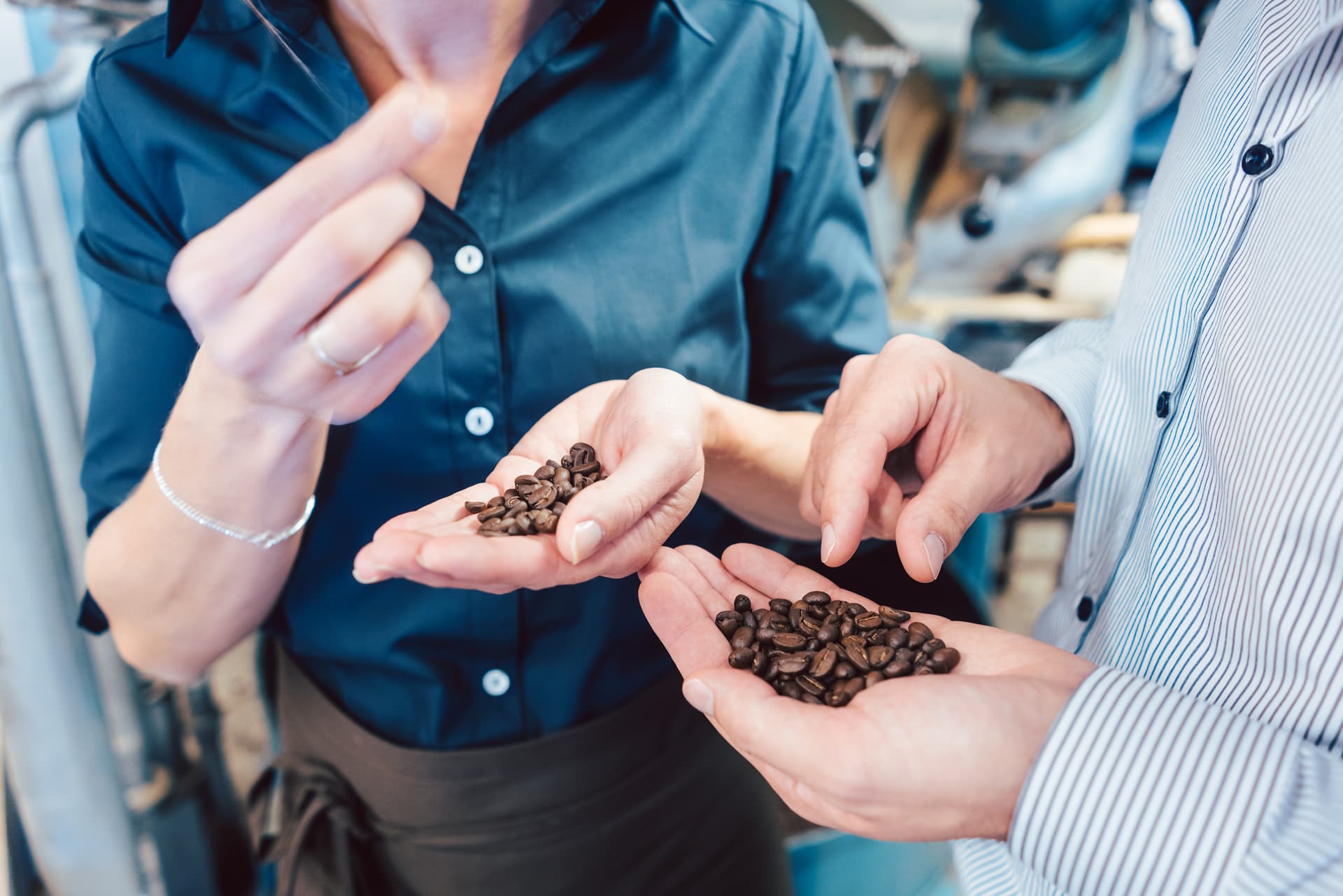 roasting_recommend_bg.jpg 배경 이미지