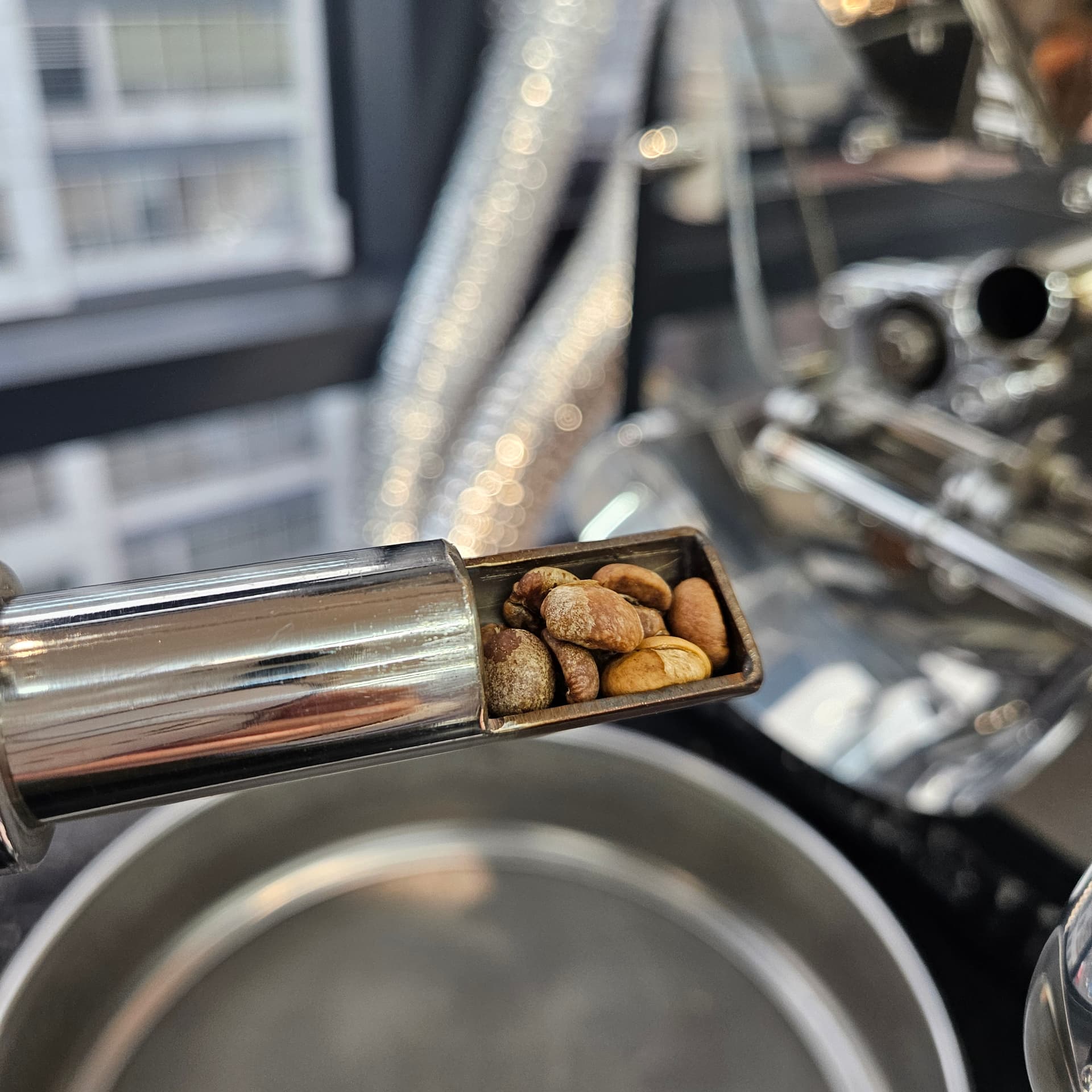 roasting_foundation_course_list_5.jpg
